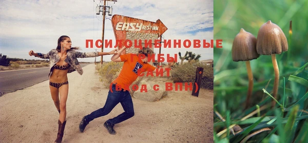 крисы Кукмор